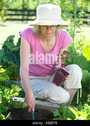 Frau mit Hut im Garten auspflanzen Pflanzen im Hochbeet Pflanze Grundstück im Sommer Stockfoto