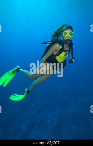 Taucherin in ScubaPro Ausrüstung auf Gully Wand Divesite Cay Sal Bank Bahamas-Inseln Stockfoto