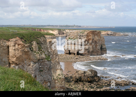 South Shields Leas Meer stapelt Meer Erosion Marsden Rock Tyneside GbR uk gb Stockfoto