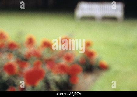 Impressionistischen Blick auf Rosenbeetes und Park Bench auf Rasen Stockfoto