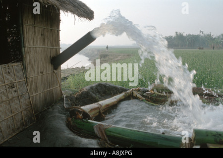 Bangladesch-Bewässerung-STATION IN KHULNA DIVISION Foto Julio Etchart Stockfoto