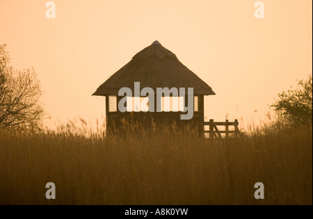 Sonnenaufgang über dem Vogel Aussichtsturm in Norfolk Hickling Broad UK Stockfoto