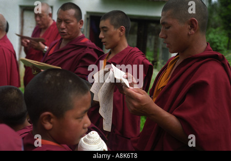 Tibetische Mönche singen während eines Gebets und Feuer Puja für den Weltfrieden im Kloster Drepung zusammenziehen in Südindien. Stockfoto