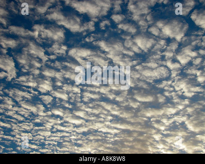 Altocumulus-Wolken über Helensburgh Dumbartonshire Schottland Stockfoto