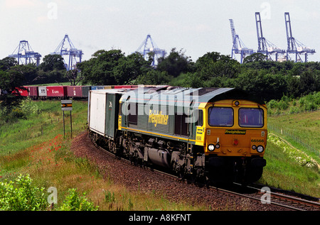 Freightliner Class 66-Diesellok schleppen Container im Hafen von Felixstowe, Suffolk, UK. Stockfoto