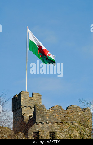 Vertikal nah oben die walisische Flagge Höhenflug über Cardiff Castle [Castell Caerdydd] gegen ein strahlend blauer Himmel Stockfoto