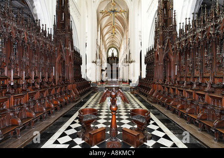 Frauenkathedrale, Chorgestühl, Blick vom Altar, antwerpen, belgien Stockfoto