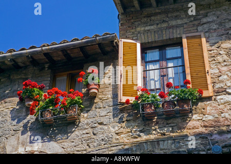 Geranien wachsen in Terrakotta-Töpfe in Balkonkästen auf Stein Wand eines Hauses in Assisi Umbrien Italien. JMH2917 Stockfoto