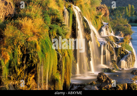 IDAHO SWAN VALLEY SOUTH FORK von THE SNAKE RIVER malerischen Blick fällt Creek fällt Ost-ID Stockfoto