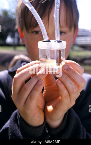 Grundschule Schüler mit aquatischen Exemplare in der Nähe von Euroa, Victoria, Australien Stockfoto