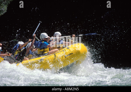 IDAHO SELWAY BITTERROOT WILDERNESS Wildwasser-Rafting auf dem Selway River North Central Id MR Stockfoto