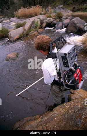 Ökologen, Fischhabitat, Recherche, in der Nähe von Euroa, NE, Victoria, Australien, vertikal, Stockfoto