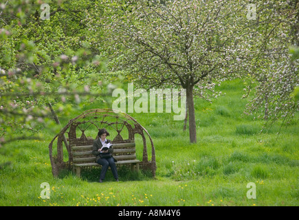 Eine Frau sitzen Lesung im Obstgarten in der Begründung der Glastonbury Abtei Glastonbury Somerset Great Britain Stockfoto