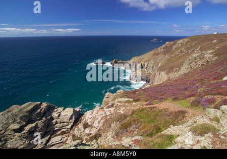 St Agnes Head nr St Agnes Cornwall Großbritannien der Atlantikküste im Sommer mit Heidekraut blüht Stockfoto