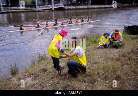 Freiwillige Baumpflanzung auf Hering Insel, Yarra River, Melbourne, Victoria, Australia Stockfoto