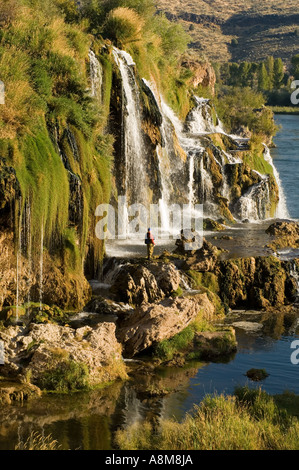 IDAHO SOUTH FK SNAKE RIVER Fliegenfischer stehen neben fällt Creek fällt Swan Valley östlichen Id Herr Stockfoto