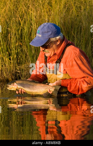 IDAHO SWAN VALLEY östlichen ID Fly Fisherman Freigabe Regenbogenforellen ab Frühjahr gefüttert Creek Herr Stockfoto