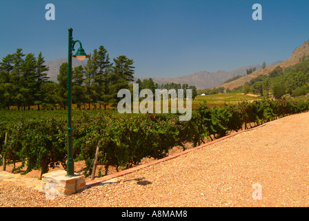 Das schöne wackelige Brücke Weingut in Franschhoek Valley Kapprovinz in Südafrika Stockfoto