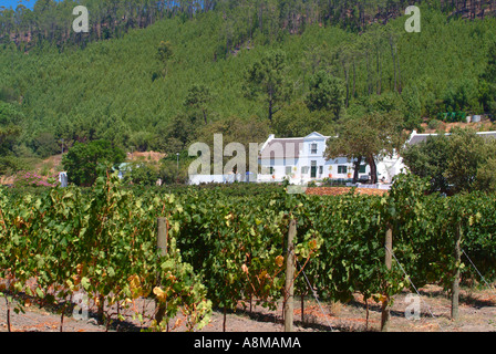 Das schöne wackelige Brücke Weingut in Franschhoek Valley Kapprovinz in Südafrika Stockfoto