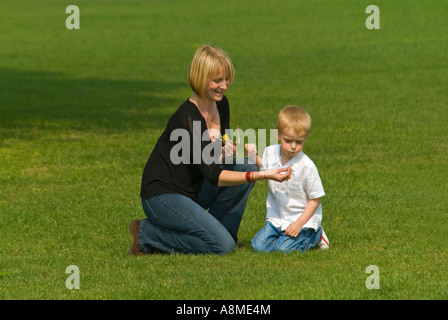 Horizontale Nahaufnahme des kaukasischen junge Mutter und ihr junger Sohn Kommissionierung Löwenzahn Uhren und wegblasen der Samen. Stockfoto