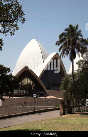 Opernhaus durch Bäume in Sydney New South Wales NSW Australia Stockfoto