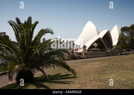 Opernhaus durch Bäume in Sydney New South Wales NSW Australia Stockfoto