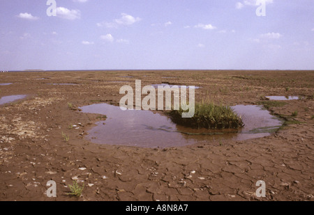 Der Wash Gedney fuhr Ende England Stockfoto