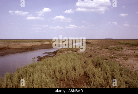 Der Wash Gedney fuhr Ende England Stockfoto