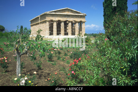 Dorischer Tempel des Neptun mit einem Rosengarten im Vordergrund Paestum Italien Stockfoto