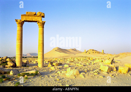 Römische Ruinen bei Sonnenaufgang - Palmyra, Syrien Stockfoto