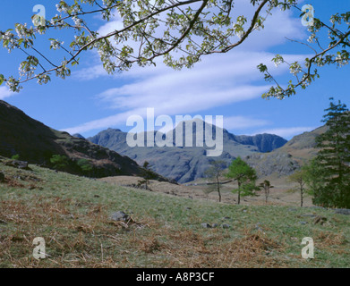 Langdale Pikes aus in der Nähe von Blea Tarn im Frühjahr, Langdale, Nationalpark Lake District, Cumbria, England, UK. Stockfoto