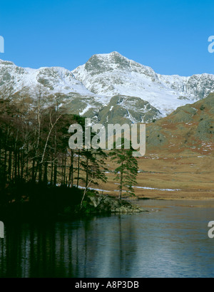 Langdale Pikes gesehen über Blea Tarn im Winter über Langdale, Nationalpark Lake District, Cumbria, England, UK. Stockfoto