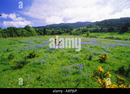 Barfuß Geschäftsmann in Freizeitkleidung mit Computer und Handy in seinem Outdoor-Büro des Grases und Wildblumen Stockfoto