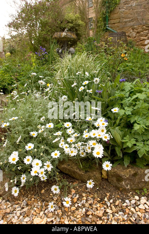 England Somerset East Lambrook Manor Dorothy Fish Cottage Garten Pumpe und floralen Bett Stockfoto