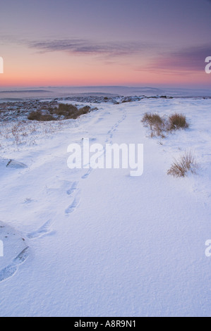 Fußspuren im unberührten Schnee Kante am frühen Morgen Froggatt Derbyshire Peak District National Park Calver England UK GB EU Europa Stockfoto