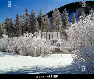 Wintermorgen entlang des Salmon River im Sägezahn nationaler Erholung-Bereich Idaho mit Raureif Beschichtung, die Bäume und bru Stockfoto