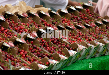 Straßenrand stall Verkauf rote Kirschen bei Hay on Wye Powys Wales UK Stockfoto