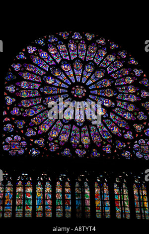 Notre Dame Rose Fenster Paris Frankreich Stockfoto