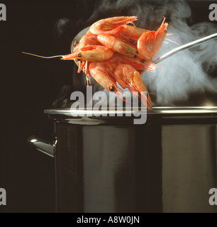 Stillleben-Nahaufnahme der Meeresfrüchte. Frisch gekochte Garnelen über dem Topf. Stockfoto