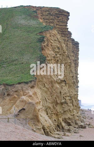 Burton Bradstock Ciiffs auf die Jurassic Coast in Dorset, Südengland, beeindruckende schier senkrechten Klippe Stockfoto