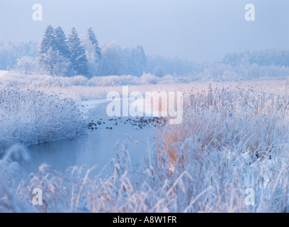 Polen. Frostigen Winter-Szene mit Fluss. Stockfoto