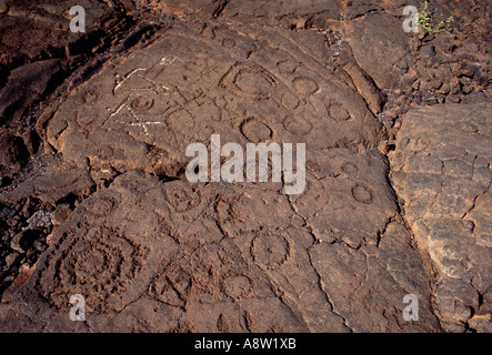 Petroglyphen am Wegesrand Könige in Anaehoomalu Bay entlang der Kohala Küste Hawaiis Big Island Hawaii USA Stockfoto