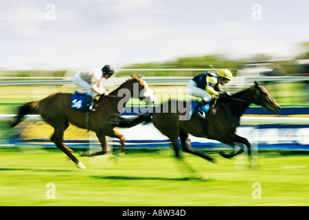 Pferderennen - Rennen bis zur Ziellinie Stockfoto