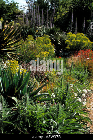 Mediterranen Garten Grenze im Osten Ruston, altes Pfarrhaus, Norfolk Stockfoto