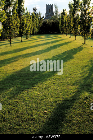 Allee der Eichen im Osten Ruston alte Pfarrhaus Norfolk Stockfoto