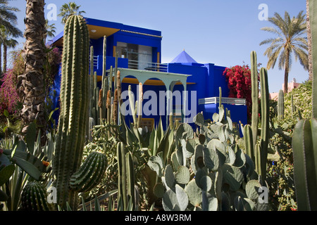 Die schönen tropischen Jardins Majorelle in Marrakesch Marokko Stockfoto