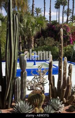Die schönen tropischen Jardins Majorelle in Marrakesch Marokko Stockfoto
