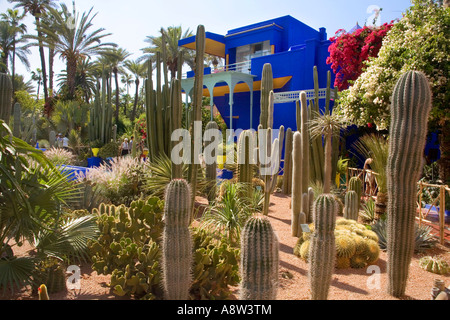 Die schönen tropischen Jardins Majorelle in Marrakesch Marokko Stockfoto