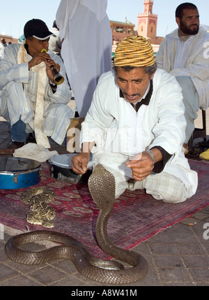 Schlangenbeschwörer in Jemaa El Fna Platz in Marrakesch Stockfoto