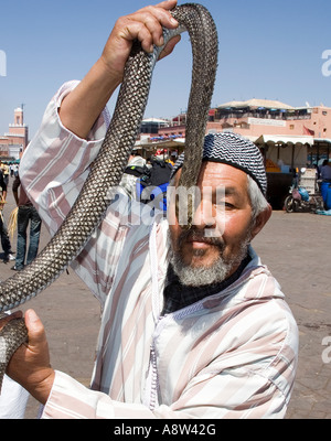 Schlangenbeschwörer in Jemaa El Fna Platz in Marrakesch Stockfoto